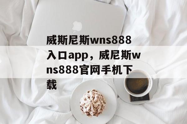 威斯尼斯wns888入口app，威尼斯wns888官网手机下载